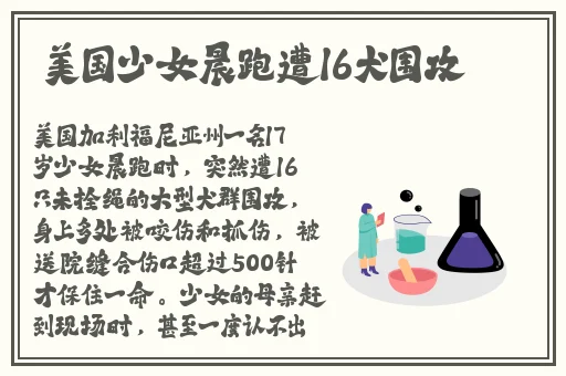 俄罗斯Zoom人与ZOOM